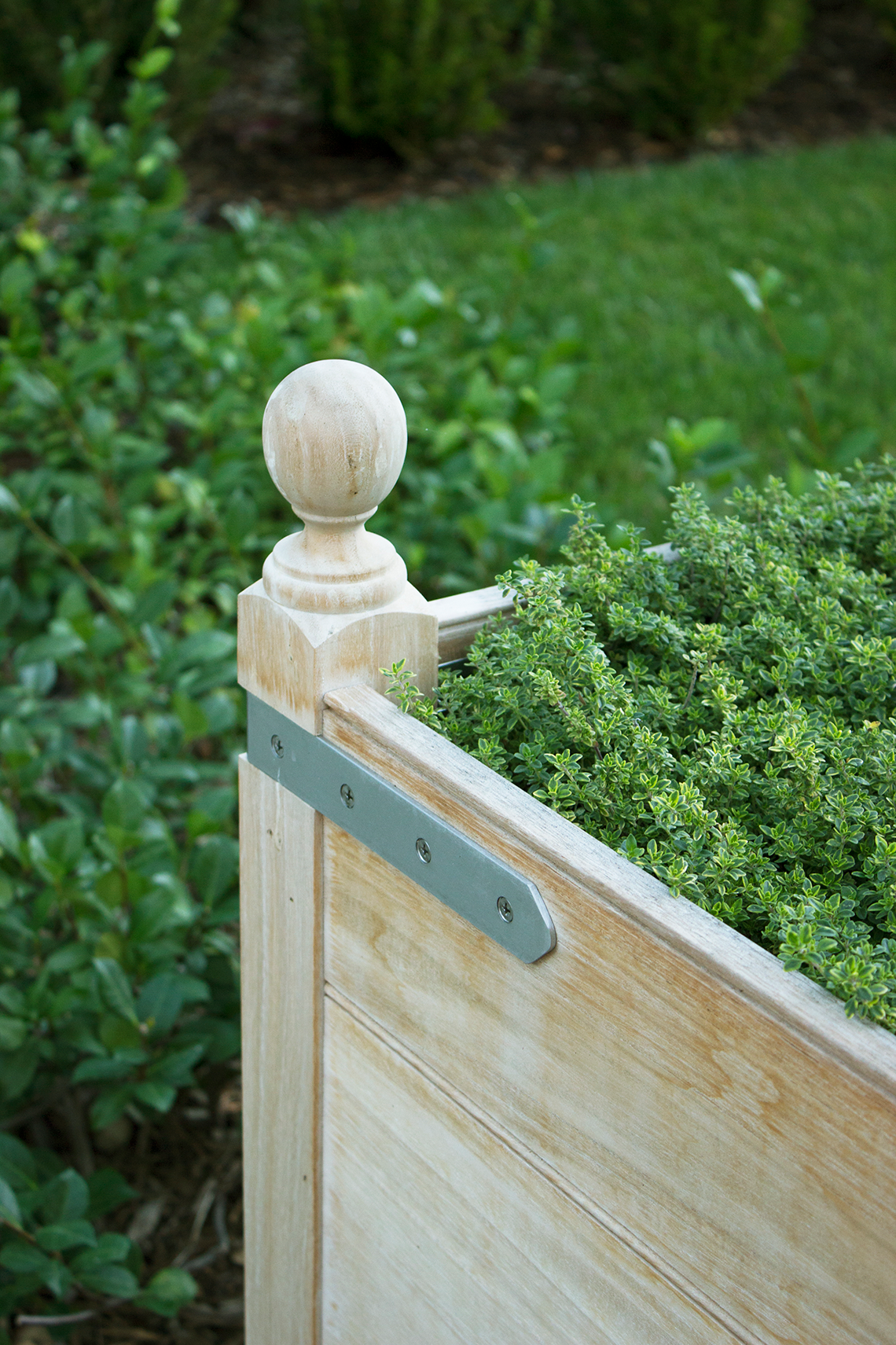 American Fruit Tree Box | Munder Skiles